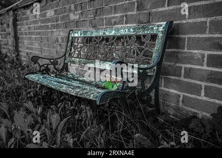 Vintage, alte Bank, die im Gras an der roten Ziegelwand sitzt. Grünes Blatt darauf. Stockfoto