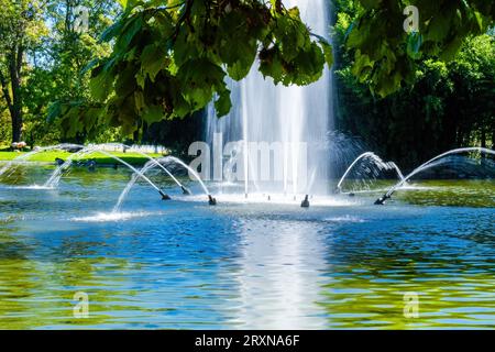 Wunderschöner Brunnen im See im Park. Wasserspeise Stockfoto