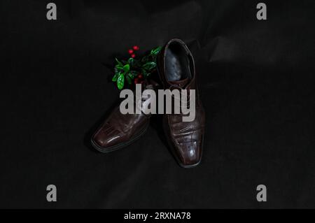 Braune Lederschuhe auf schwarzem Hintergrund mit roten Beeren und grünen Blättern. Stockfoto