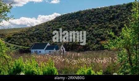 Ein von wilden Birnenbäumen umrahmtes Arbeiterhaus (Dombeya rotundiflolia) liegt im Tal des de Hoop in der Nähe von Uniondale, Westkap. Stockfoto