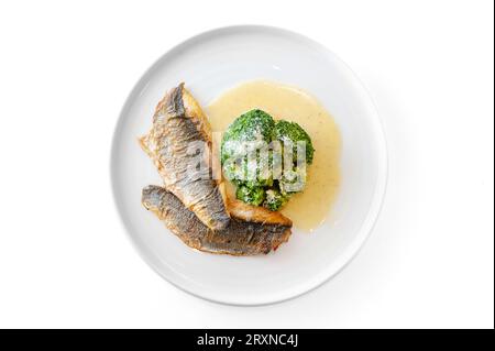 Dorado oder Wolfsbarschfilet in Sahnesauce mit Brokkoli auf weißem Teller. Hochwertige Fotos Stockfoto