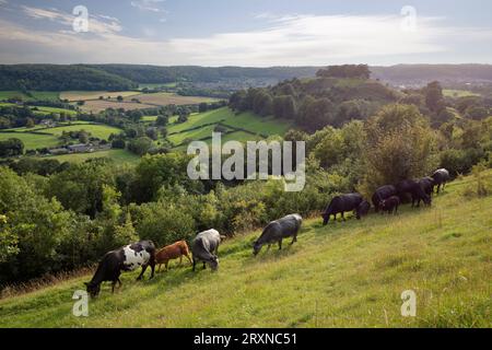 Blick nach Dursley von Uley Bury Hillfort, Dursley, Cotswolds, Gloucestershire, England, Vereinigtes Königreich, Europa Stockfoto