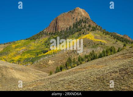 Golden Aspens an der Seite eines Vorhangs in Colorado Stockfoto