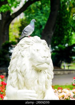 Taube sitzt auf dem Kopf einer weißen Löwenputzstatue in einem Stadtpark, Vogel sitzt auf einem Skulpturenkopf, Vogel auf der Statue Stockfoto