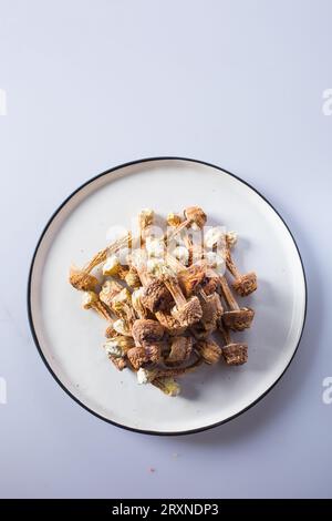 Getrocknete agaricus Blazei in einer Schüssel Stockfoto