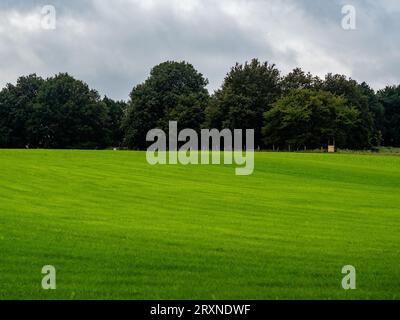 Nijmegen, Niederlande. September 2023. Allgemeiner Blick auf ein sehr grünes Feld umgeben von Bäumen an einem bewölkten Tag. Mit der Ankunft im Herbst an diesem Wochenende können die Menschen warme Temperaturen auf dem Land genießen, indem sie mit dem Fahrrad fahren oder entlang der Deiche und Wälder wandern. Auch landwirtschaftliche Nutztiere genießen die Weide. (Foto: Ana Fernandez/SOPA Images/SIPA USA) Credit: SIPA USA/Alamy Live News Stockfoto