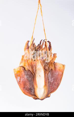 Getrocknete Tintenfische auf Holztisch Stockfoto