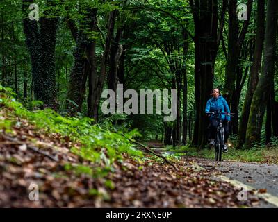 Nijmegen, Niederlande. September 2023. Eine Frau wird auf einer Fahrradstraße im Wald gesehen. Mit der Ankunft im Herbst an diesem Wochenende können die Menschen warme Temperaturen auf dem Land genießen, indem sie mit dem Fahrrad fahren oder entlang der Deiche und Wälder wandern. Auch landwirtschaftliche Nutztiere genießen die Weide. (Foto: Ana Fernandez/SOPA Images/SIPA USA) Credit: SIPA USA/Alamy Live News Stockfoto