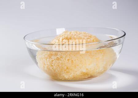 Frischer weißer Pilz (Tremella fuciformis) auf Bambushintergrund Stockfoto