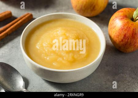 Hausgemachte Bio-Apfelmus-Sauce in einer Schüssel Stockfoto