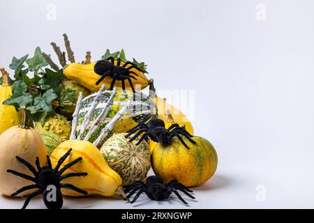 Verschiedene Zierkürbisse mit Efeurebe, Skeletthänden und Spinnen, weißer Hintergrund, Kopierraum Stockfoto