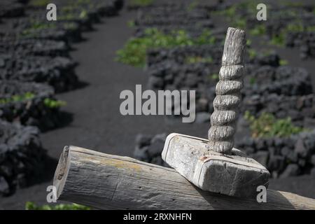 Teilansicht einer alten Holztraubenpresse auf Lanzarote Stockfoto