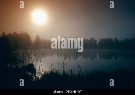 Sonnenaufgang im Hochmoor Pfrunger Ried Schwäbische Alb, Oberschwaben Deutschland Stockfoto