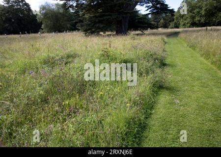 Wildblumenwiesen mit geschnittenen Pfaden im Herrenhaus Compton Verney aus dem 18. Jahrhundert, heute eine unabhängige nationale Kunstgalerie und ein See in einem Capability Bro Stockfoto