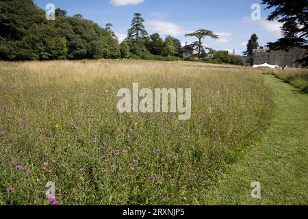 Wildblumenwiesen mit geschnittenen Pfaden im Herrenhaus Compton Verney aus dem 18. Jahrhundert, heute eine unabhängige nationale Kunstgalerie und ein See in einem Capability Bro Stockfoto