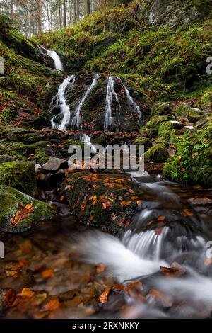 Wasserfall im Herbstwald, Holchener Wasserfall, Bad Peterstal-Griesbach, Nordschwarzwald, Baden-Württemberg, Deutschland Stockfoto