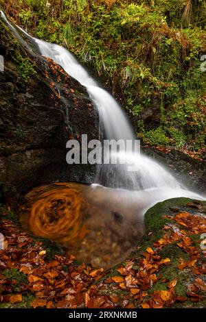 Wasserfall im Herbstwald, Holchener Wasserfall, Bad Peterstal-Griesbach, Nordschwarzwald, Baden-Württemberg, Deutschland Stockfoto