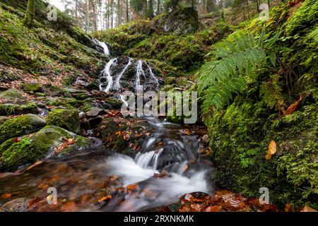 Wasserfall im Herbstwald, Holchener Wasserfall, Bad Peterstal-Griesbach, Nordschwarzwald, Baden-Württemberg, Deutschland Stockfoto