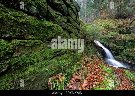 Wasserfall im Herbstwald, Holchener Wasserfall, Bad Peterstal-Griesbach, Nordschwarzwald, Baden-Württemberg, Deutschland Stockfoto