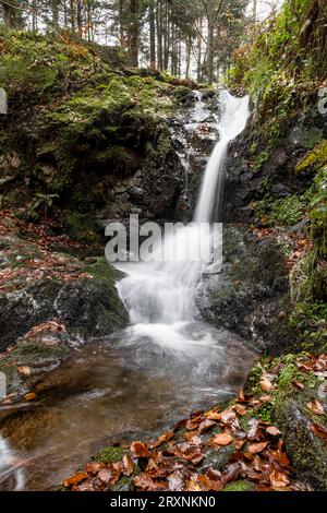 Wasserfall im Herbstwald, Holchener Wasserfall, Bad Peterstal-Griesbach, Nordschwarzwald, Baden-Württemberg, Deutschland Stockfoto