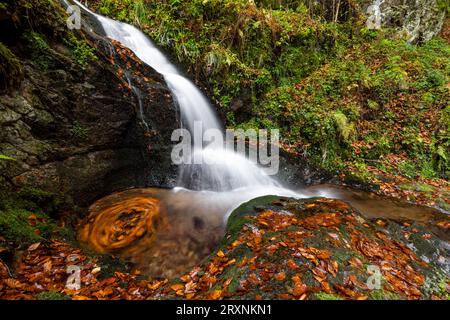 Wasserfall im Herbstwald, Holchener Wasserfall, Bad Peterstal-Griesbach, Nordschwarzwald, Baden-Württemberg, Deutschland Stockfoto