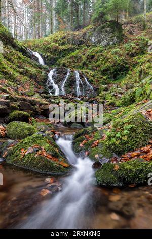 Wasserfall im Herbstwald, Holchener Wasserfall, Bad Peterstal-Griesbach, Nordschwarzwald, Baden-Württemberg, Deutschland Stockfoto