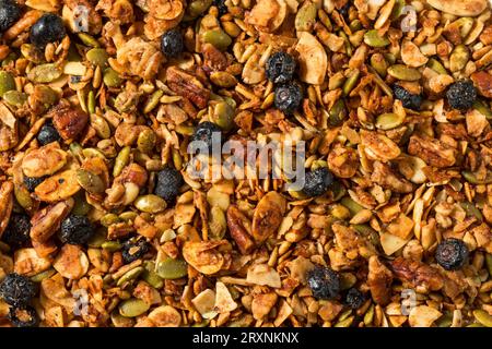 Gesunde hausgemachte Blueberry Granola Frühstück Müsli in einer Schüssel Stockfoto