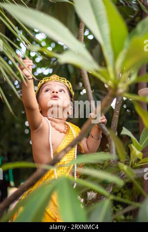 Entzückendes Kleinkind gekleidet als hindugott krishna niedlicher Gesichtsausdruck, der beim Jamashtami auf dem Baum spielt Stockfoto