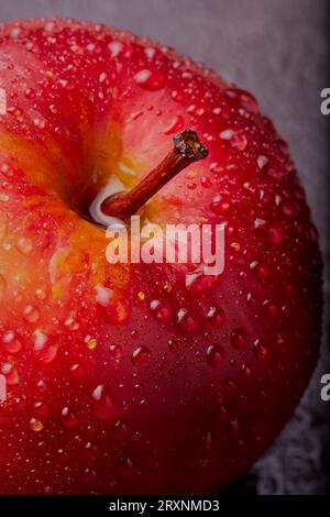 Roter Apfel mit Wassertröpfchen, die die Haut mit einem hervorstehenden Stiel bedecken. Stockfoto