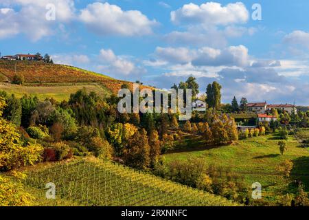 Blick auf die farbenfrohen herbstlichen Weinberge und Bäume auf den Hügeln von Langhe im Piemont, Italien. Stockfoto