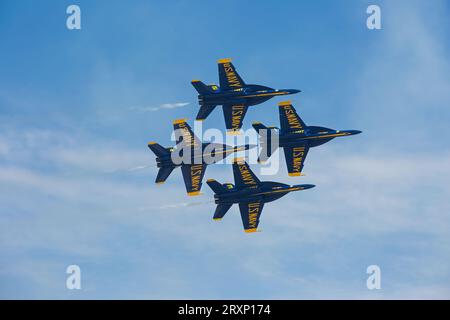 Die Blue Angels der U.S. Navy führen Kunstflugmanöver während der Marine Corps Air Station Miramar Airshow 2023 in San Diego, 23. September 2023, durch. Stockfoto