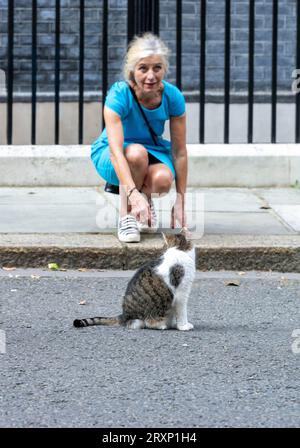 London, Großbritannien. September 2023 26. Trotz Gerüchten über Krankheit Larry, die Downing Street Katze scheint fit und gut; erfreut Aufmerksamkeit von einigen Downing Street Besucher Credit: Ian Davidson/Alamy Live News Stockfoto