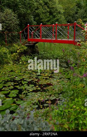 Rote Fußgängerbrücke über den Seerosenteich in üppigen Gärten im Dorf Portmeirion Stockfoto