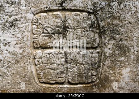 Panel 3 bei Struktur A9 in den Maya-Ruinen im archäologischen Reservat Xunantunich in Belize. Diese Tafel war ursprünglich von einer Hieroglyphentreppe Stockfoto