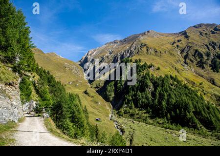 Das Valler Tal oft auch Valser Tal oder einfach Vals, italienisch Val di Valles ist ein Tal in den Pfunderer Bergen, eine Untergruppe der Zillertaler Alpen in Südtirol Italien. Fane Alm *** das Valler Tal oft auch Valser Tal oder einfach Vals, Italienisches Val di Valles ist ein Tal im Pfunderer Gebirge, eine Untergruppe der Zillertaler Alpen in Südtirol Italien Fane Alm Credit: Imago/Alamy Live News Stockfoto