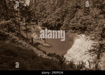 ILLWACO, WASHINGTON, USA – Dead man's Cove im Cape Disappointment State Park. Stockfoto