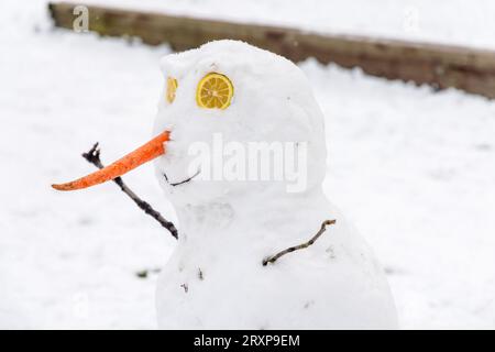 Ein glücklicher Schneemann im Schnee in Vancouver, Kanada. Er hat eine Karottennase, Augen aus Zitronenscheiben, Sticks für Arme und sein Lächeln Stockfoto