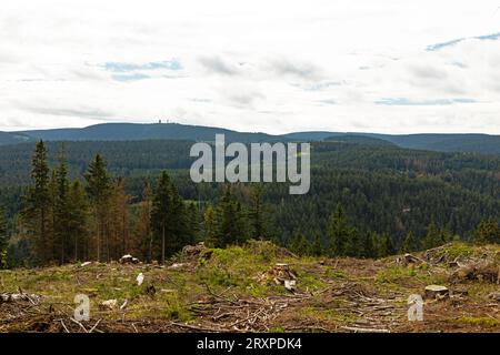 Panoramablick über den thüringer Wald bei Ilmenau Stockfoto