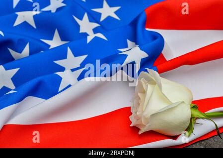 Rose Blume auf der Flagge der USA als Hintergrund. Nationaler Tag des Gebets und der Erinnerung an die Opfer der Terroranschläge Stockfoto