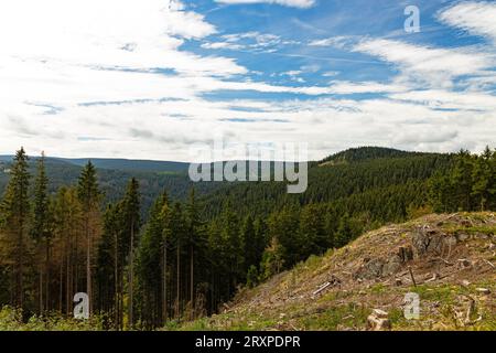 Panoramablick über den thüringer Wald bei Ilmenau Stockfoto