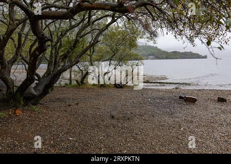 Der oft besungene Loch Lomond, wie hier am Firkin Point ist mit seinen 71 Quadratkilometern der flächenmäßig größten See in Schottland und Großbritannien 19.09.2023 Loch Lomond Firkin Point Schottland Großbritannien *** die oft über Loch Lomond gesungen werden, wie hier am Firkin Point, ist mit seinen 71 Quadratkilometern der größte See in Schottland und Großbritannien 19 09 2023 Loch Lomond Firkin Point Scotland Großbritannien Credit: Imago/Alamy Live News Stockfoto