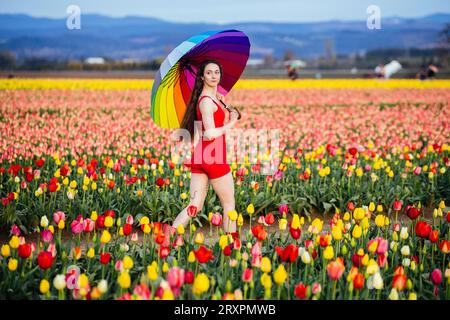 Langhaarige Brünette, die über ein riesiges Tulpenfeld mit Schirm in der Hand läuft Stockfoto