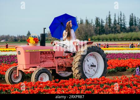 Frau, die sich auf dem Traktor abspaltet und auf einem riesigen Tulpenfeld steht Stockfoto