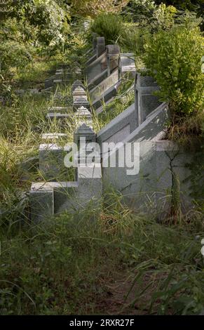 Bangkok, Thailand - 22. September 2023 - die traditionellen chinesischen Gräber befinden sich auf dem Chinesischen Friedhof in Bangkok. Eine Reihe grauer Steingräber befindet sich in t Stockfoto