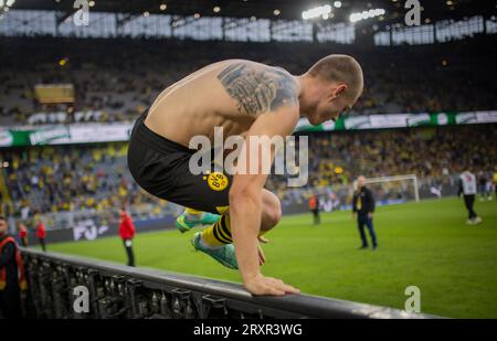 Dortmund, Deutschland. September 2023. Julian Ryerson (BVB) Borussia Dortmund - VfL Wolfsburg 23.09.2023 Copyright (nur für journalistische Zwecke) by Stockfoto