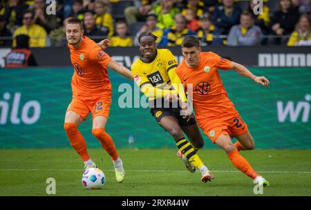 Dortmund, Deutschland. September 2023. Mattias Svanberg (Wolfsburg), Jamie Bynoe-Gittens (BVB), Joakim Maehle (Wolfsburg) Borussia Dortmund - VfL Wolfsbu Stockfoto