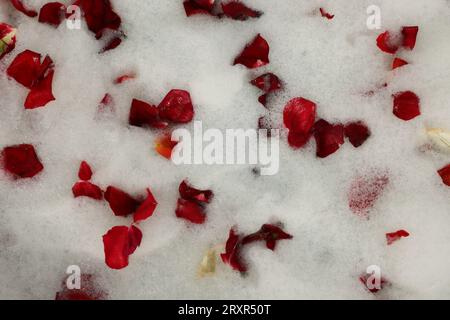 Schaum und rote Rosenblätter als Hintergrund, Draufsicht. Entspannendes Bad Stockfoto