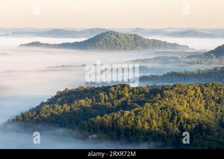 Morgennebel bei Sonnenaufgang über Bergkämmen. Stockfoto