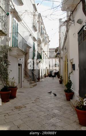 Gasse zwischen alten Wohngebäuden im historischen Zentrum von Locorotondo, Italien Stockfoto