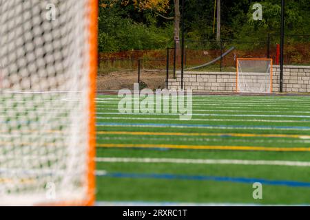 Foto eines Lacrosse-Tores auf einem leeren grünen Kunstrasenfeld. Stockfoto